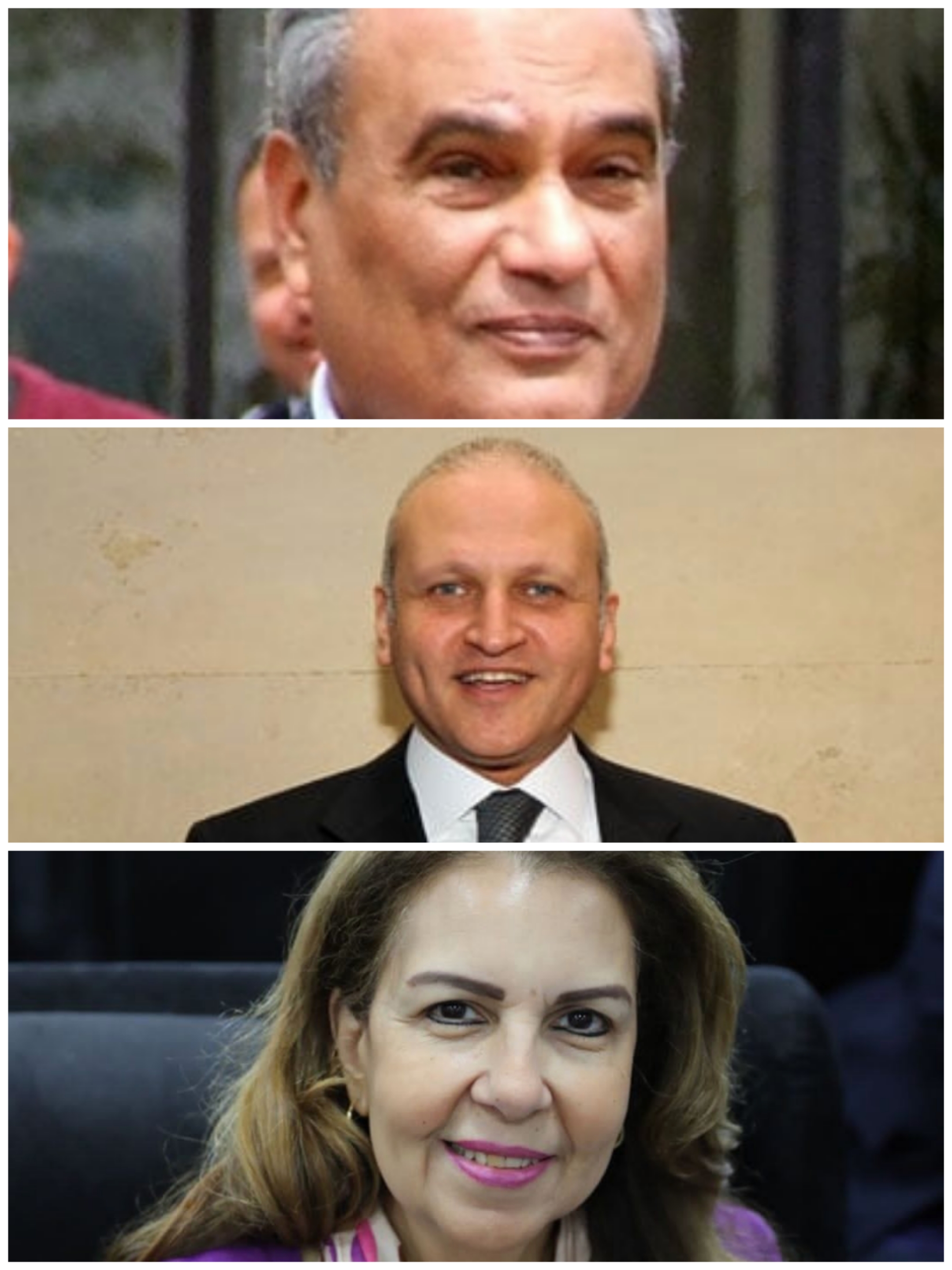  القومي لحقوق الإنسان يهنيء الأعضاء الثلاثة الفائزين بجائزة الدولة التقديرية 